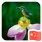 阳光