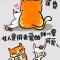 诗和远方