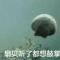 螺丝哥