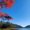 沧桑人间正道