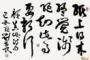 娃哈哈