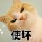 未明