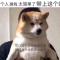 乜嘢