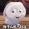 西藏用户