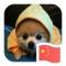 二货爹爹的