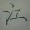 Fong