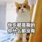 猫日