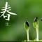 叫什么好呢