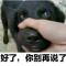 飘雨发发