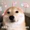 我特