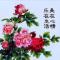 红牛