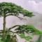春山囍雨