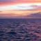 海龙