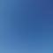 大鱼小虾米