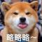 我就是传说的渣渣辉