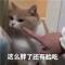 你猜也猜不到