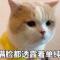 开心就好