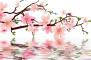 花有重开日  人无再少年
