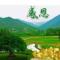 李火根