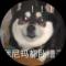 苍苔