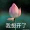 永远