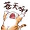 执于一念