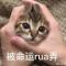 嗷呜