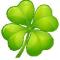 Clover