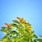 用户18xxx04