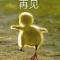 不会爬树的小狒狒