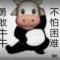 我姓李却理解