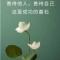沈增良宥存