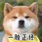 一只流浪狗