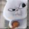 YH_xiaochen