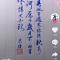不流浪