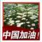 用户10xxx26