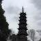 张建奎