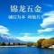 吴楚鑫