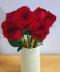 红玫瑰