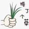 九五至尊