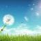 sunrain
