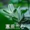蕙质兰心