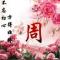 上河秀水