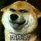哆啦考尔