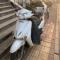 jinsen19840410