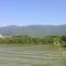 008810wenzi
