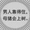 梦醒
