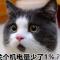 不言