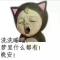 小坏蛋