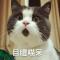 七秒记忆